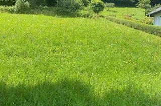 Grundstück zu kaufen in 8282 Loipersdorf bei Fürstenfeld, LOIPERSDORF! Großes Grundstück an der Thermenstraße zu verkaufen!