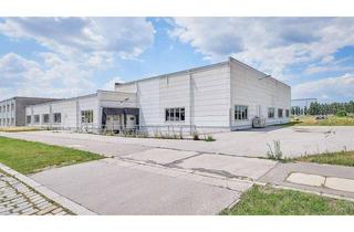 Büro zu mieten in 1210 Wien, Halle mit 700qm Nutzfläche und Nebenräume in 1210 Wien – ideal für Lager, Produktion und Logistik