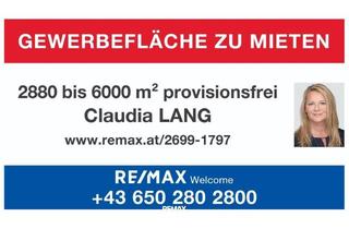  in 2522 Oberwaltersdorf, PROVISIONSFREI! - Vielseitig nutzbares Gewerbegrundstück 2880 - 6000 m² zu mieten!