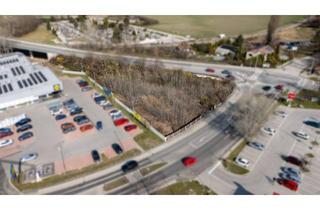 Grundstück zu kaufen in 2490 Ebenfurth, Betriebsbaugrundstück 2196m² in Ebenfurth