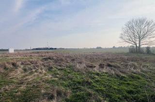 Grundstück zu kaufen in 2201 Seyring, NEU! BAUTRÄGER aufgepasst! Baugrund nähe Wien!