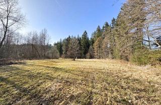 Immobilie kaufen in 5131 Holzöster, Grünland und Wald