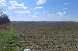 Grundstück zu kaufen in 2460 Bruck an der Leitha, "ATTRAKTIVES GRUNDSTÜCK IN BRUCK AN DER LEITHA"