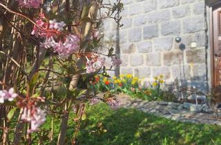 Haus kaufen in Krankenhaus, 4910 Ried im Innkreis, Großzügiges Wohnhaus nähe Zentrum, in bester Lage - ideal für großzügiges Wohnen, 2 Familien oder Arbeiten von Zuhause,...