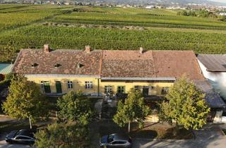 Grundstück zu kaufen in Weinberge, 2540 Bad Vöslau, "Rarität bei den Weinbergen - Baugrundstück mit 70 % Verbaubarkeit in Ruhelage"