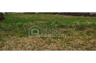 Grundstück zu kaufen in 7132 Frauenkirchen, Ruhiger Baugrund (Bauland Misch) in Frauenkirchen / Burgenland