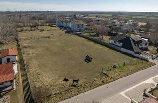 Grundstück zu kaufen in 7122 Gols, Exklusives Baugrundstück in Gols – Ideales Projektpotenzial für Investoren und Bauträger - zu kaufen!