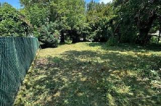 Grundstück zu kaufen in 2410 Hainburg an der Donau, PROVISIONFREI - Grundstück in Hainburg an der Donau - Naturidylle in Donaunähe