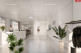 Büro zu mieten in 4060 Leonding, Büro-/Ordinations-/Studio-/ oder Geschäftsflächen mit individuellen Ausbau-/Mitgestaltungsmöglichkeiten - 171,17 m², 191,49 m², 247,80 m² oder 362,66 m²!