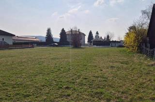 Grundstück zu kaufen in 3062 Kirchstetten, FAST EBENE, SONNIGE BAUGRUNDSTÜCKE IN RUHIGER DORFLAGE