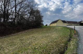 Grundstück zu kaufen in 7535 Rauchwart, sonniges kleines Baugrundstück in der Nähe vom Badesee Rauchwart