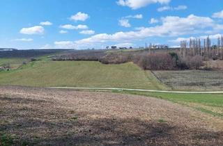 Grundstück zu kaufen in 7543 Kukmirn, Ein Grundstück mit viel Potential!