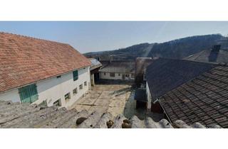 Bauernhäuser zu kaufen in Unterort 10, 2014 Puch, 2014 Puch - Pferdeeldorado nähe Hollabrunn/Stockerau !