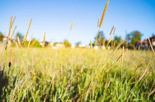 Grundstück zu kaufen in Ahornstraße, 4493 Wolfern, 5* - GRUNDSTÜCK IN RANDLAGE DES GRÜNEN DORF WOLFERN