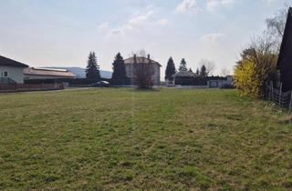 Grundstück zu kaufen in 3062 Kirchstetten, FAST EBENE, SONNIGE BAUGRUNDSTÜCKE IN RUHIGER DORFLAGE