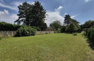 Grundstück zu kaufen in 2231 Strasshof an der Nordbahn, Großzügiges Baugrundstück mit viel Potential in Strasshof – Silberwald