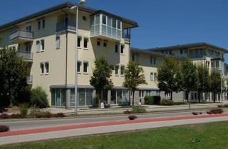 Wohnung mieten in Reinberghof, 4600 Thalheim bei Wels, 1-Zimmer-Wohnung in Bestlage