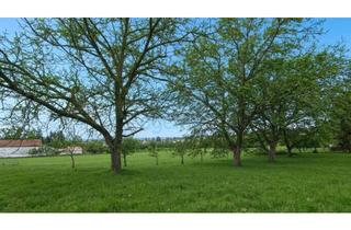 Grundstück zu kaufen in 7201 Neudörfl, 1.145 m² Grundstück - 10 Minuten von Wiener Neustadt entfernt!