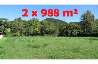 Grundstück zu kaufen in 2571 Thenneberg, 2 x 988m² - SEHR SONNIGE Grundstücke nahe ALLAND!