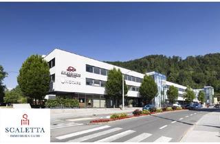 Büro zu mieten in 5020 Salzburg, Toplage Parsch: Attraktive Büro-/Praxisfläche für Ihren professionellen Auftritt