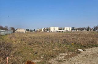 Grundstück zu kaufen in 2201 Gerasdorf, Eckbaugrundstück ohne Einheitenbeschränkung