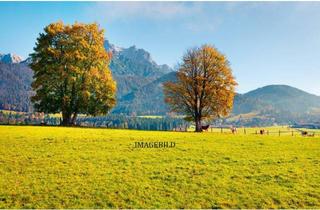 Grundstück zu kaufen in 5771 Leogang, Baugrundstück in Leogang - Ortsteil Ecking!
