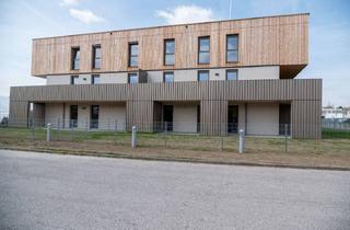 Wohnung mieten in Ybbser Straße, 3250 Wieselburg, WIESELBURG-STADT I/2, geförderte Mietwohnung mit Kaufoption, Stiege 2, Top 14, 1000/00011942/00001214