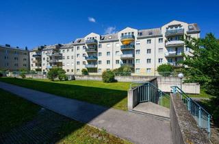 Wohnung mieten in Maximilianstraße 78, 3100 Sankt Pölten, ST. PÖLTEN V/2, freifinanzierte Mietwohnung mit Kaufoption, 1. OG - TOP 32, 1000/00006800/00001032