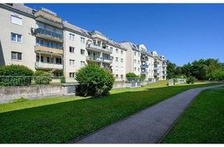 Wohnung mieten in Maximilianstraße 80, 3100 Sankt Pölten, ST. PÖLTEN V/1, freifinanzierte Mietwohnung mit Kaufoption, EG - TOP 11, 1000/00006710/00001111