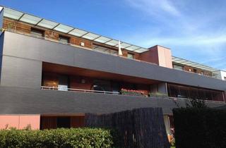 Wohnung mieten in Breitenleer Straße 230-232, 1220 Wien, Familienidylle in Hirschstetten