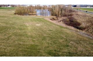 Grundstück zu kaufen in 4481 Asten, Gewerbefläche in Asten – optimale Widmung MB für Ihre Betriebsansiedlung (ca. 1.516 m²)