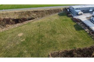Grundstück zu kaufen in 4481 Asten, Top-Gewerbegrund MB in Asten ca. 5.348 m² – starten Sie hier Ihren Unternehmensstandort