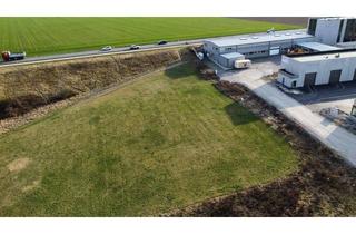 Grundstück zu kaufen in 4481 Asten, Perfekter Standort in Asten – Gewerbegrund MB für Ihr Unternehmen (ca. 2.283 m²)