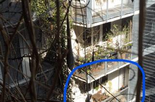Wohnung mieten in 1050 Wien, Innerstädtisches Kleinod, mit grünem Innenhof-Flair.