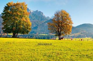 Grundstück zu kaufen in 5771 Leogang, Baugrundstück in Leogang - Ortsteil Ecking!