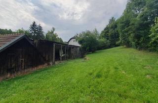 Grundstück zu kaufen in 3413 Kirchbach, Großzügiges Grundstück mit Entwicklungspotenzial in Unterkirchbach