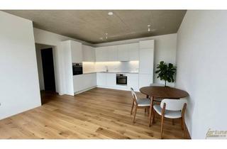 Wohnung kaufen in Neustifter Straße, 3470 Kirchberg am Wagram, Traumhafte DG-Wohnung: Erstbezug mit OST Terrasse!