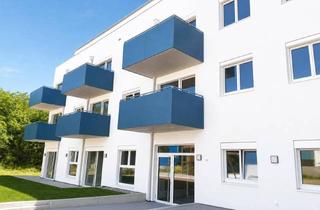 Wohnung mieten in 2301 Groß-Enzersdorf, Besichtigung 22.06., um 8.30 Uhr - 2 Zimmerwohnung mit Dachterrasse in Miete mit Kaufoption