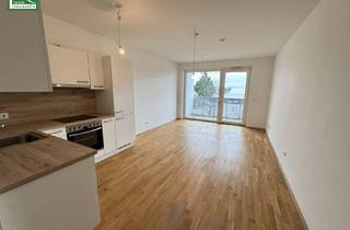 Wohnung mieten in Gymelsdorfergasse 50, 2700 Wiener Neustadt, Kompakte 2-Zimmer-Wohnung in idealer Lage in Wiener Neustadt!