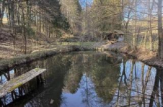 Grundstück zu kaufen in 8341 Paldau, Naturparadies: großzügiges Anwesen in sonniger Ruhelage nahe Paldau!