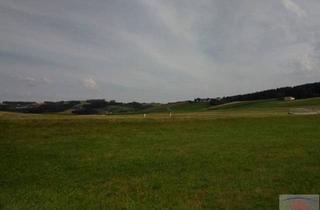 Grundstück zu kaufen in 7323 Ritzing, Ca. 1,2 Hektar Ackerfläche zu verkaufen