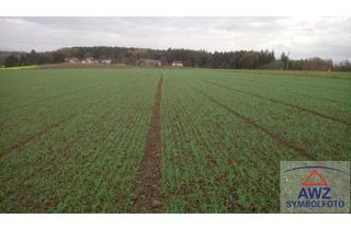 Grundstück zu kaufen in 4783 Schafberg, Verkaufe schönen Acker nähe Schärding! ca. 3.5 ha