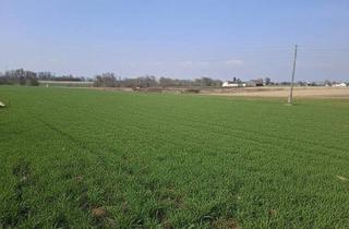 Grundstück zu kaufen in 4950 Altheim, Sonniger & ebener Baugrund in Altheim ohne Bauzwang