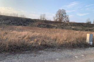 Gewerbeimmobilie kaufen in 2002 Roseldorf, INDUSTRIEGRUNDSTÜCK - 40 Minuten vor Wien