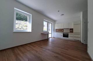 Wohnung mieten in 4523 Neuzeug, WOHNKOMFORT AUF KLEINER FLÄCHE - EINRAUMWOHNUNG MIT TERRASSE