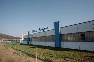 Gewerbeimmobilie kaufen in 8330 Feldbach, Große Lagerhalle in ausgezeichneter Lage in Feldbach ...!