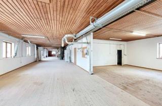 Büro zu mieten in 3383 Schlatzendorf, Vielseitig nutzbare Gewerbehalle mit Lackierbox – ideal für Lager, Werkstatt oder Produktion