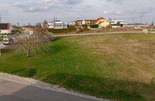 Grundstück zu kaufen in 7100 Neusiedl am See, Großes Grundstück im Gebiet Reitschacher in Neusiedl am See