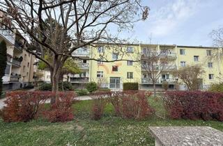 Wohnung kaufen in 2351 Wiener Neudorf, 4-Zimmerwohnung mit Loggia im letzten Stock!