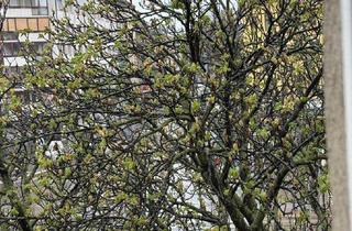 Wohnung mieten in Quellenstraße, 1100 Wien, ERSTBEZUG 2 Zimmerwohnung